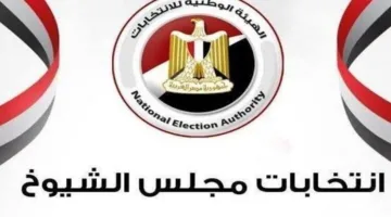 سفارات مصر في لندن وتونس تستقبل الناخبين في اليوم الأخير من انتخابات مجلس الشيوخ.