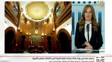 سفير مصر في إيطاليا: التصويت في الخارج يُعتبر احتفالًا بالديمقراطية