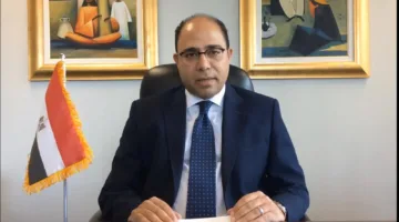 سفير مصر في بلجيكا: لم نلاحظ أي عقبات حتى الآن في عملية التصويت لانتخابات الشيوخ