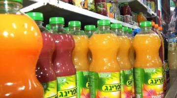 سلوفينيا تفرض حظراً على استيراد المنتجات من المناطق التي تحتلها إسرائيل