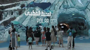 «سي وورلد أبوظبي».. وجهة ترفيهية تعزز الوعي بالبيئة البحرية