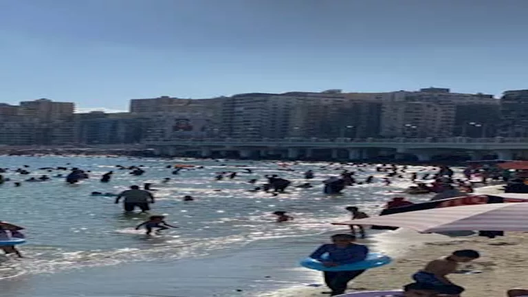 شواطئ الإسكندرية تحقق إشغالاً قريباً من 100% بعد انتهاء “تعزيز أغسطس” -صور شواطئ الإسكندرية تحقق إشغالاً قريباً من 100% بعد انتهاء “تعزيز أغسطس” -صور