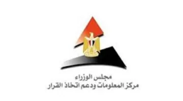 صحفي: قطاع البطاريات يعد فرصة كبيرة للنمو في مصر
