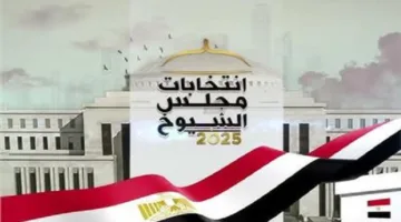 صحفي: مجلس الشيوخ يلعب دوراً مهماً في السياسة المصرية