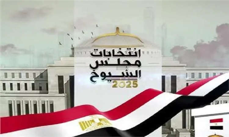 صحفي: مجلس الشيوخ يلعب دوراً مهماً في السياسة المصرية
