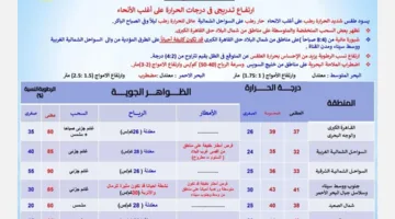 ضباب كثيف.. الأرصاد تعلن توقعات الطقس ليوم السبت المقبل