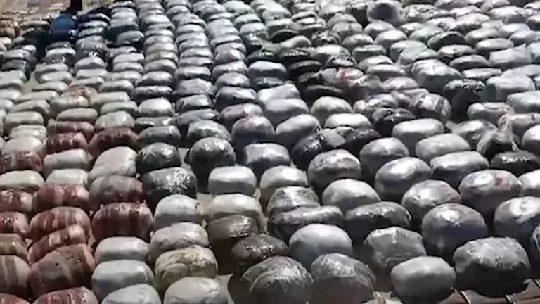 ضبط 339 حالة مخدرات وتنفيذ 65 ألف حكم قضائي في يوم واحد ضبط 339 حالة مخدرات وتنفيذ 65 ألف حكم قضائي في يوم واحد