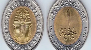 ضع قطعة نقدية في الفريزر.. والسبب: لصحتك!