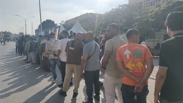 طرق سهلة وبسيطة للاستعلام عن اللجان الانتخابية في انتخابات مجلس الشيوخ 2025