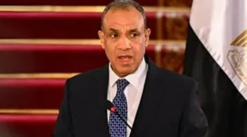 عبد العاطي: الرئيس السيسي يقود دبلوماسية نشطة تتميز بالريادة.