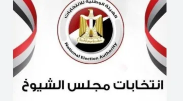 عصام هلال: انتخابات الشيوخ حققت حضوراً كبيراً وتنظيماً ممتازاً