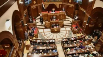 غدًا يبدأ التصويت للمصريين في الداخل لمدة يومين ضمن انتخابات مجلس الشيوخ 2025.