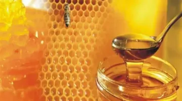 غذاء ودواء معًا: 3 فوائد رائعة لعسل النحل