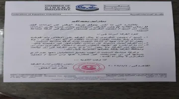 غرفة صناعة السينما توضح عدم ارتباطها بتصريحات محمود الدفراوي بشأن “روكي الغلابة”