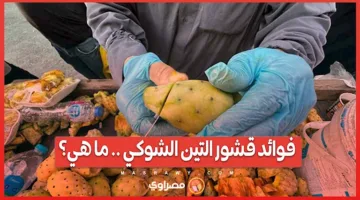 فوائد قشور التين الشوكي: ما هي؟