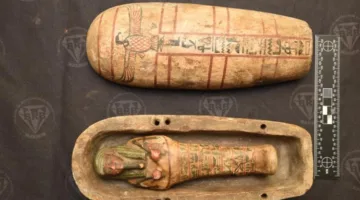 في أغسطس، متاحف مصر تحتفل بعيد وفاء النيل وباليوم العالمي للتصوير الفوتوغرافي