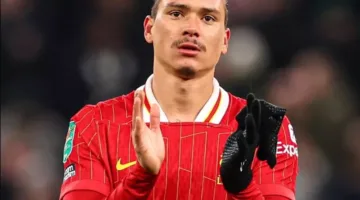 في انتظار الإعلان الرسمي.. ليفربول يوافق على انتقال نونيز للهلال