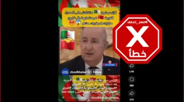 فيديو للرئيس الجزائري يتناول قضية الصحراء الغربية ضمن تحليل FactCheck