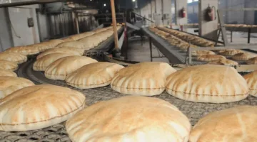 فيديو يظهر فأرًا داخل رغيف خبز يثير جدلًا في لبنان… ونقابة المخابز ترد!