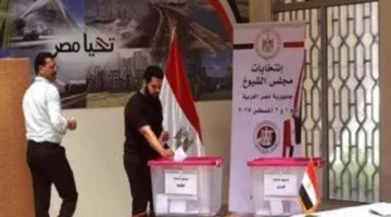 قاسم: اليوم.. انتهاء تصويت المصريين في الخارج لانتخابات مجلس الشيوخ