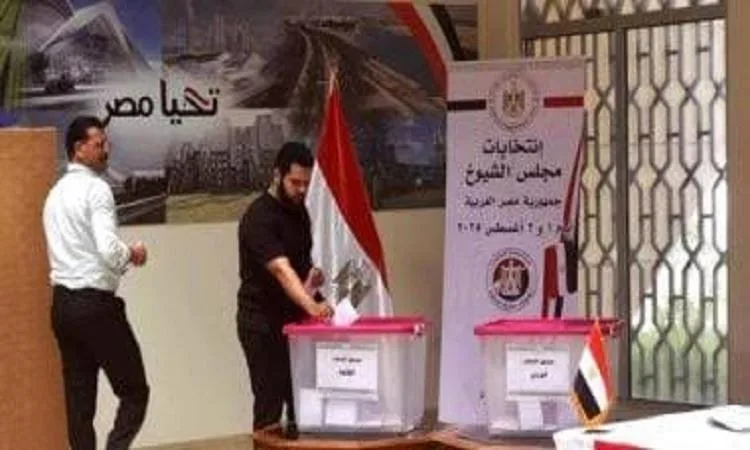قاسم: اليوم.. انتهاء تصويت المصريين في الخارج لانتخابات مجلس الشيوخ قاسم: اليوم.. انتهاء تصويت المصريين في الخارج لانتخابات مجلس الشيوخ