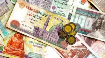 قبل اجتماع لجنة السياسات النقدية.. تنافس بين البنوك لجذب المدخرين بعوائد تصل إلى 20%