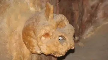 قصة الجمجمة الغامضة في اليونان: تعود إلى 300 ألف سنة مضت