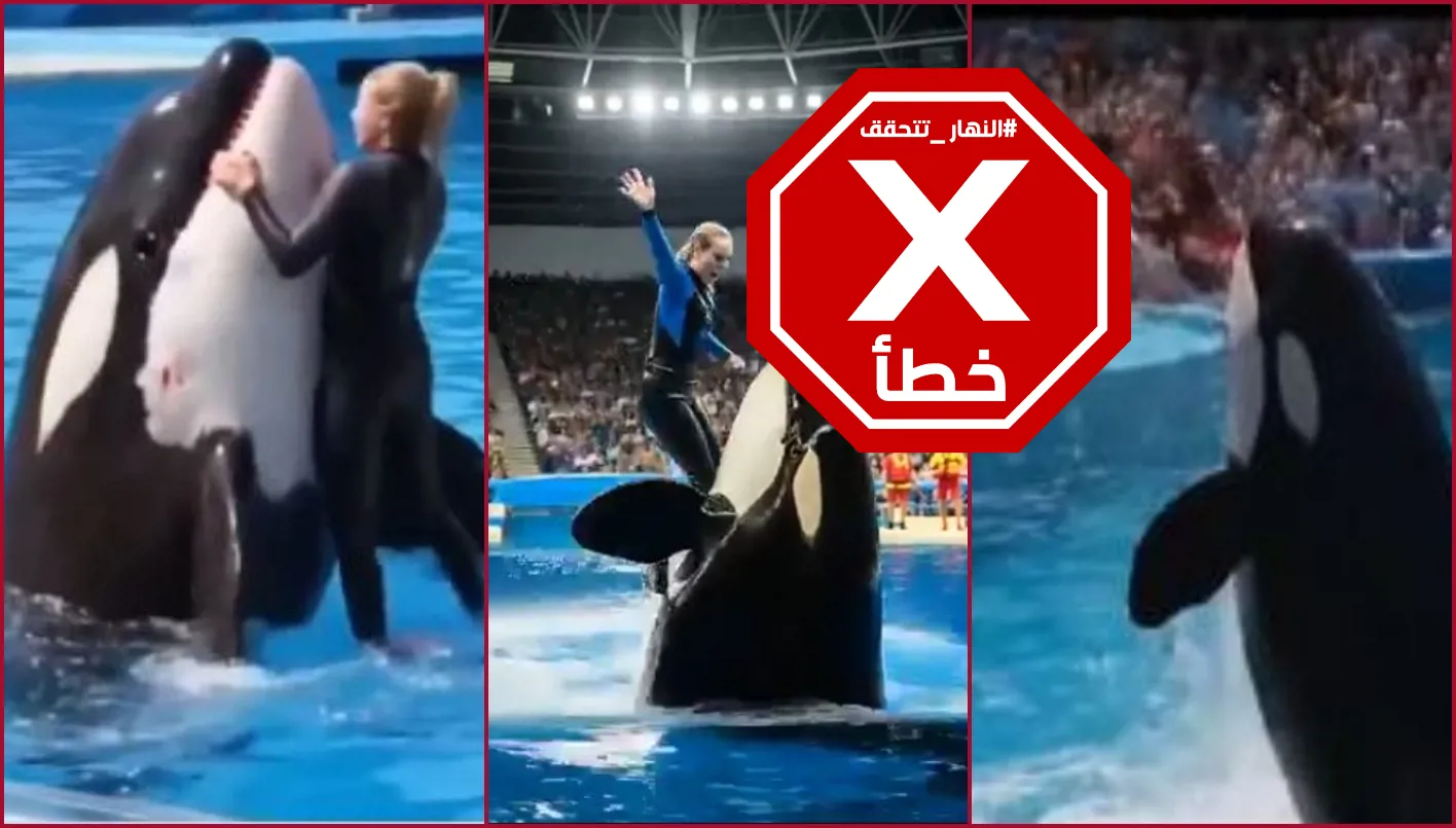 قضية المدربة جيسيكا رادكليف التي لقيت حتفها على يد الحوت وكيف استطاعت خداع الملايين… النهار تتعقب الحقائق.