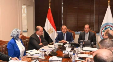 كجوك خلال لقائه مع وزير قطاع الأعمال: نعمل على تعزيز الاستخدام الفعال للأصول