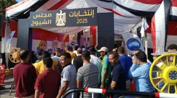 لا انتهاكات أو مخالفات في الدعاية.. «الهيئة الوطنية» تكشف تفاصيل يوم انتخابات «الشيوخ»