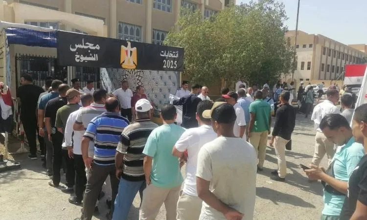 لجان انتخابات مجلس الشيوخ في أسوان والفيوم والإسكندرية تشهد حضورا كثيفاً. لجان انتخابات مجلس الشيوخ في أسوان والفيوم والإسكندرية تشهد حضورا كثيفاً.