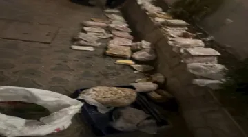 لحوم ودجاج فاسدين في القاعة.. أحداث مفاجئة في تسمم الضيوف بحفل زفاف بأسيوط