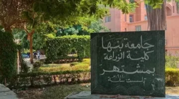 لضمان التوافق مع احتياجات سوق العمل: 6 برامج تعليمية متميزة في كلية زراعة بنها