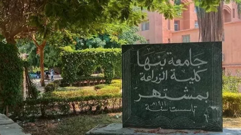 لضمان التوافق مع احتياجات سوق العمل: 6 برامج تعليمية متميزة في كلية زراعة بنها