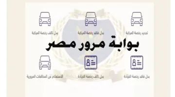 لوحة سيارة فريدة تحمل الرقم ‘قمر – 11’ تُباع في مزاد إلكتروني بمبلغ 820 ألف جنيه