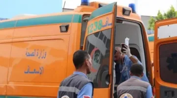 مأساة عائلية.. وفاة مسن وإصابة خمسة آخرين جراء تصادم شاحنة مع تروسيكل في المنيا