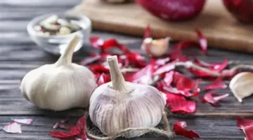 ما الذي يحدث لجسمك عند تناول الثوم والبصل قبل النوم؟ 

يمكن إعادة صياغة العنوان كالتالي: 

“كيف يؤثر تناول الثوم والبصل قبل النوم على جسمك؟”