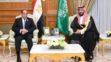 مباحثات بين ولي العهد السعودي ورئيس مصر حول مستجدات الأوضاع في فلسطين