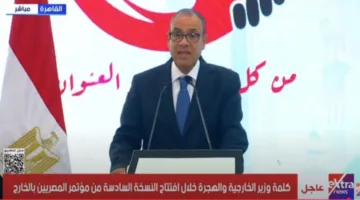 مبادرات حكومية لدعم المصريين في الخارج: آراء بدر عبدالعاطي