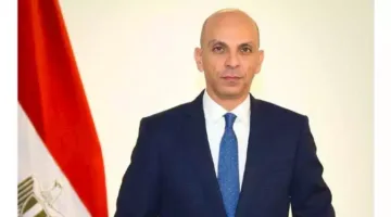 متحدث وزارة الخارجية: الاحتجاجات التي تسعى لتشويه صورة مصر لا تفيد إلا الاحتلال