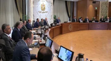 مجلس الوزراء يقر تعديلات جديدة على قانون المرور.. التفاصيل الكاملة