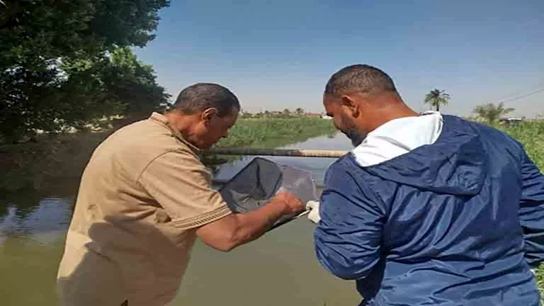 محافظ أسيوط يراقب أنشطة الحملة الوطنية لمكافحة البلهارسيا في القرى محافظ أسيوط يراقب أنشطة الحملة الوطنية لمكافحة البلهارسيا في القرى