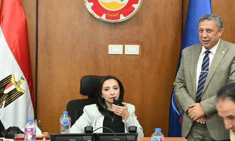 محافظ البحيرة: انتخابات “الشيوخ” تُجرى في أجواء من التنظيم والسكينة
