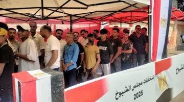 محافظ الجيزة: الزيادة في المشاركة بانتخابات الشيوخ تعكس التزام المواطنين بأداء واجبهم الوطني