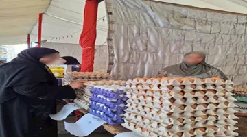 محافظ الدقهلية: استمرار “سوق اليوم الواحد” لتقديم المنتجات بأسعار منافسة