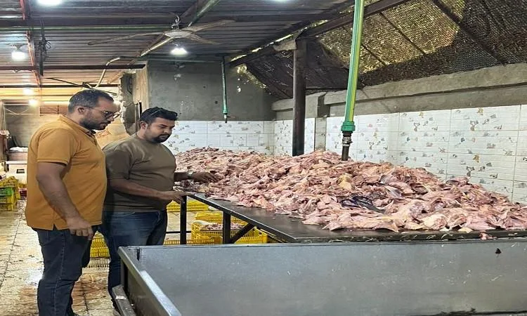 محافظة الجيزة: confiscation of 13.5 tons of spoiled meat, poultry, and animal products محافظة الجيزة: confiscation of 13.5 tons of spoiled meat, poultry, and animal products