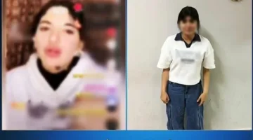 محتويات غير لائقة: “شرطة القاهرة” تكشف عن تفاصيل اعتقال سوزي الأردنية