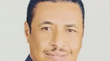 محمد الفاوي: مبادرات وقف إطلاق النار في غزة تعكس دعم مصر للقضية الفلسطينية