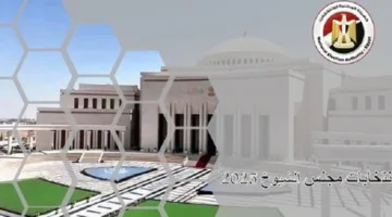 محمد مصطفى: مجلس الشيوخ كهيئة استشارية تجسد حكمة الدولة