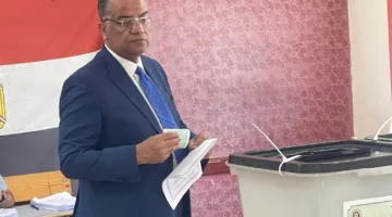 محمود مسلم: المشاركة أمر حيوي لمواجهة التحديات واستعادة أجواء 30 يونيو